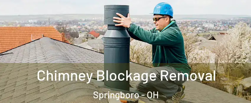 Chimney Blockage Removal Springboro - OH